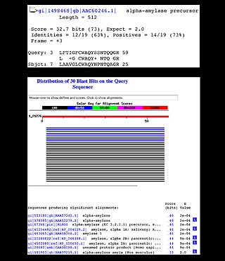 BLAST results from NCBI server
